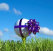 ahgc_website004012.jpg